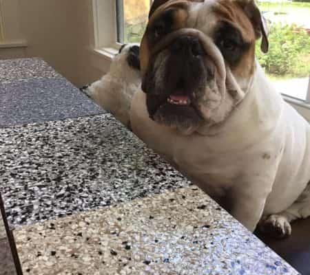 concrete coating company by Memphis Concrete Coatings (144)