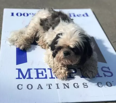 concrete coating company by Memphis Concrete Coatings (1)